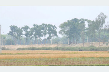 Duban