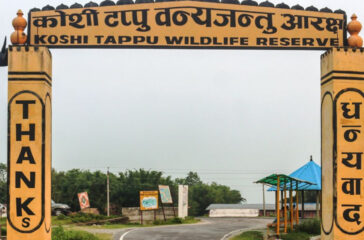 Koshi Tappu