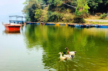 Pokhara