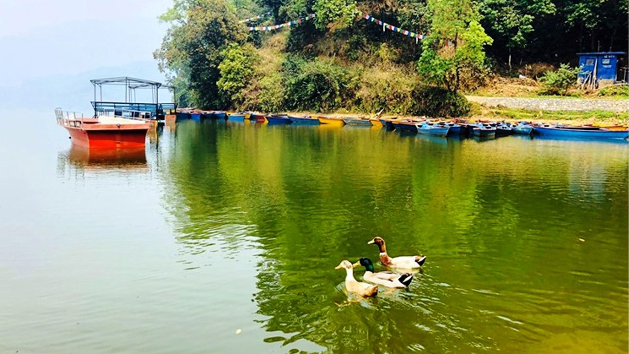 Pokhara