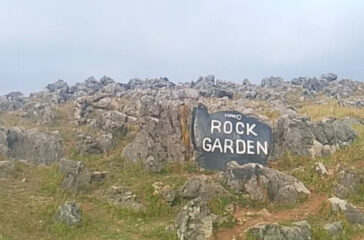 Rock Garden