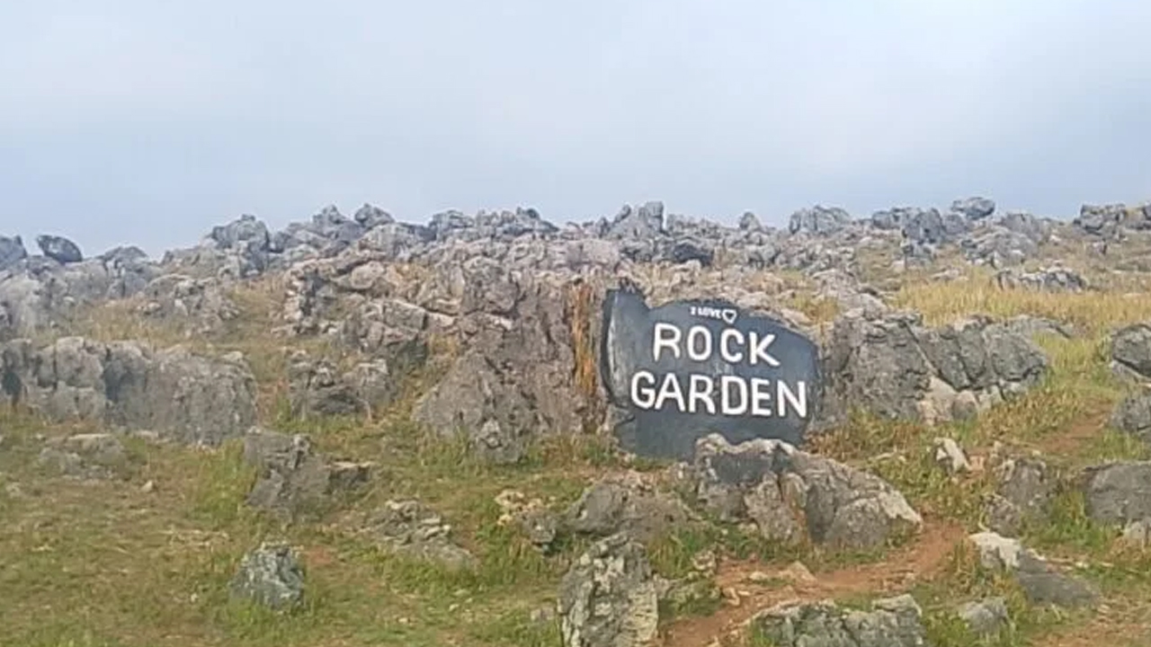 Rock Garden