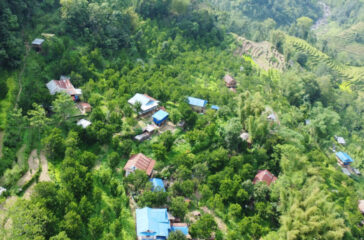 Suntala