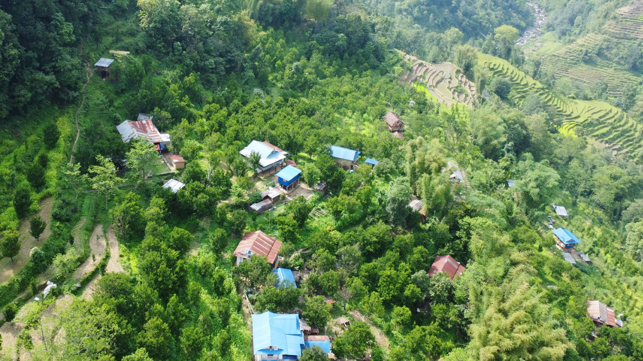 Suntala