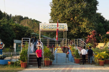 Taltaleya
