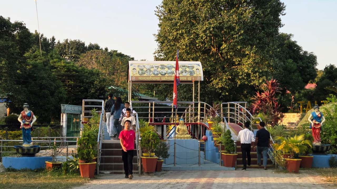 Taltaleya