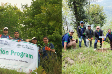 Tree-Plantation