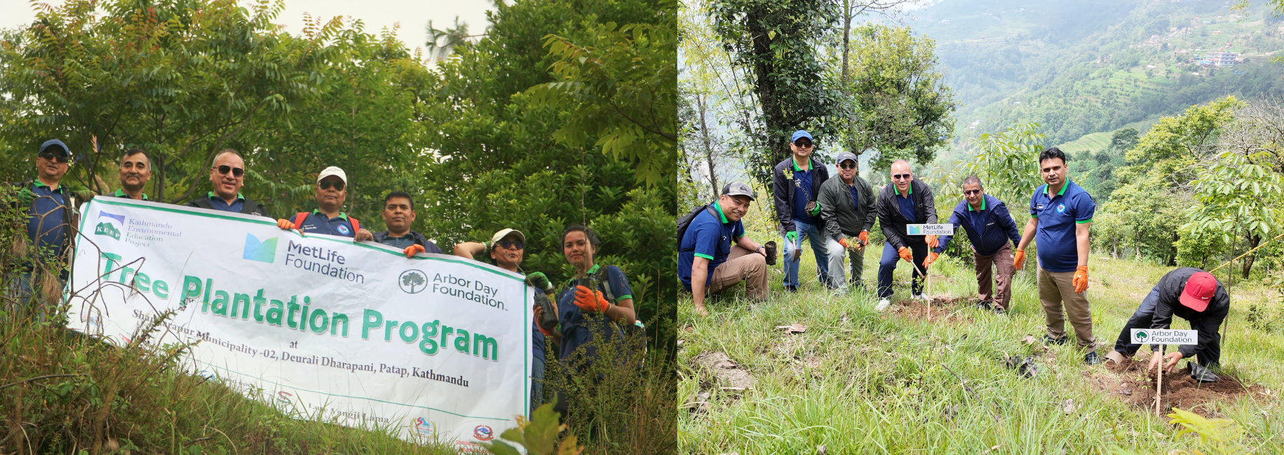Tree-Plantation