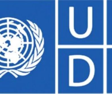 Undp