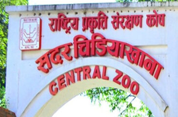 Zoo