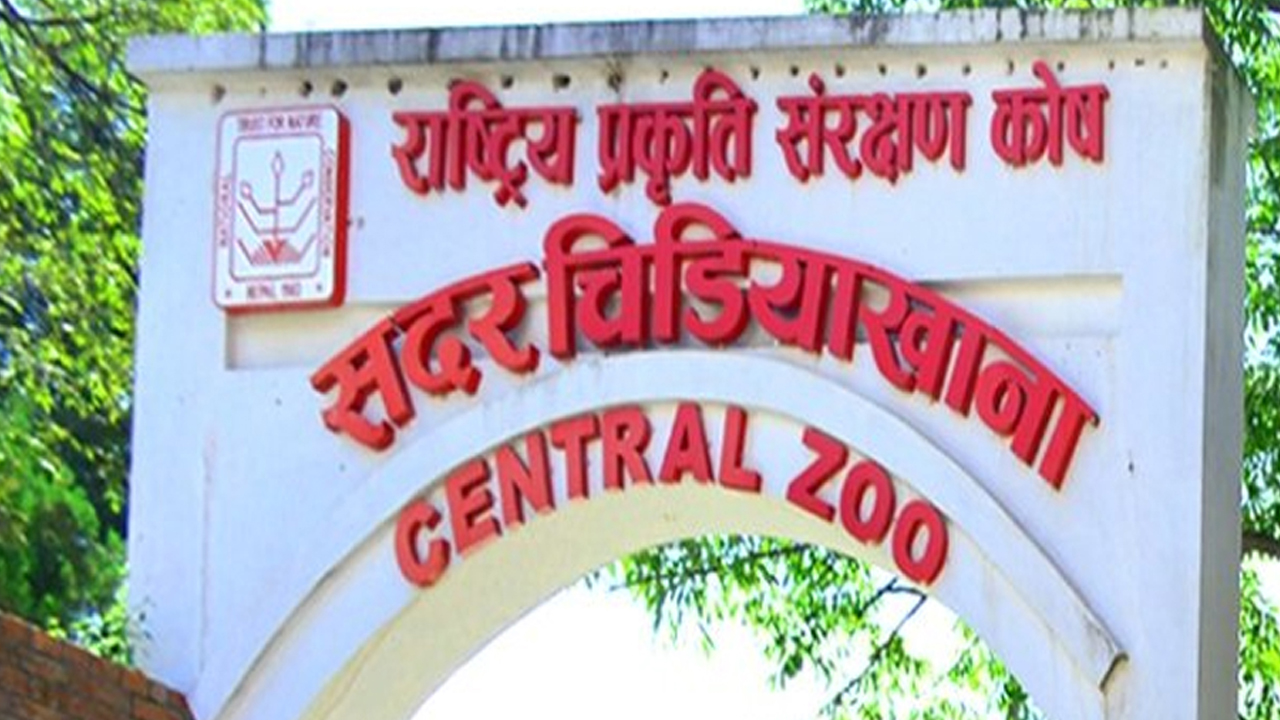Zoo