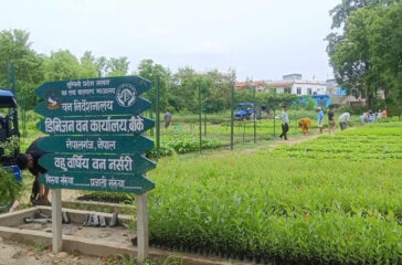 Biruwa
