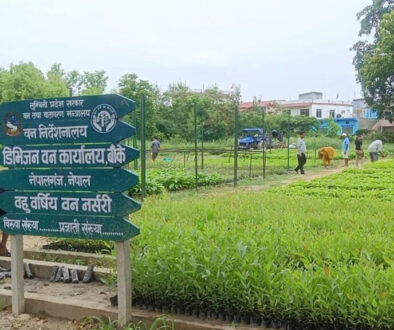 Biruwa