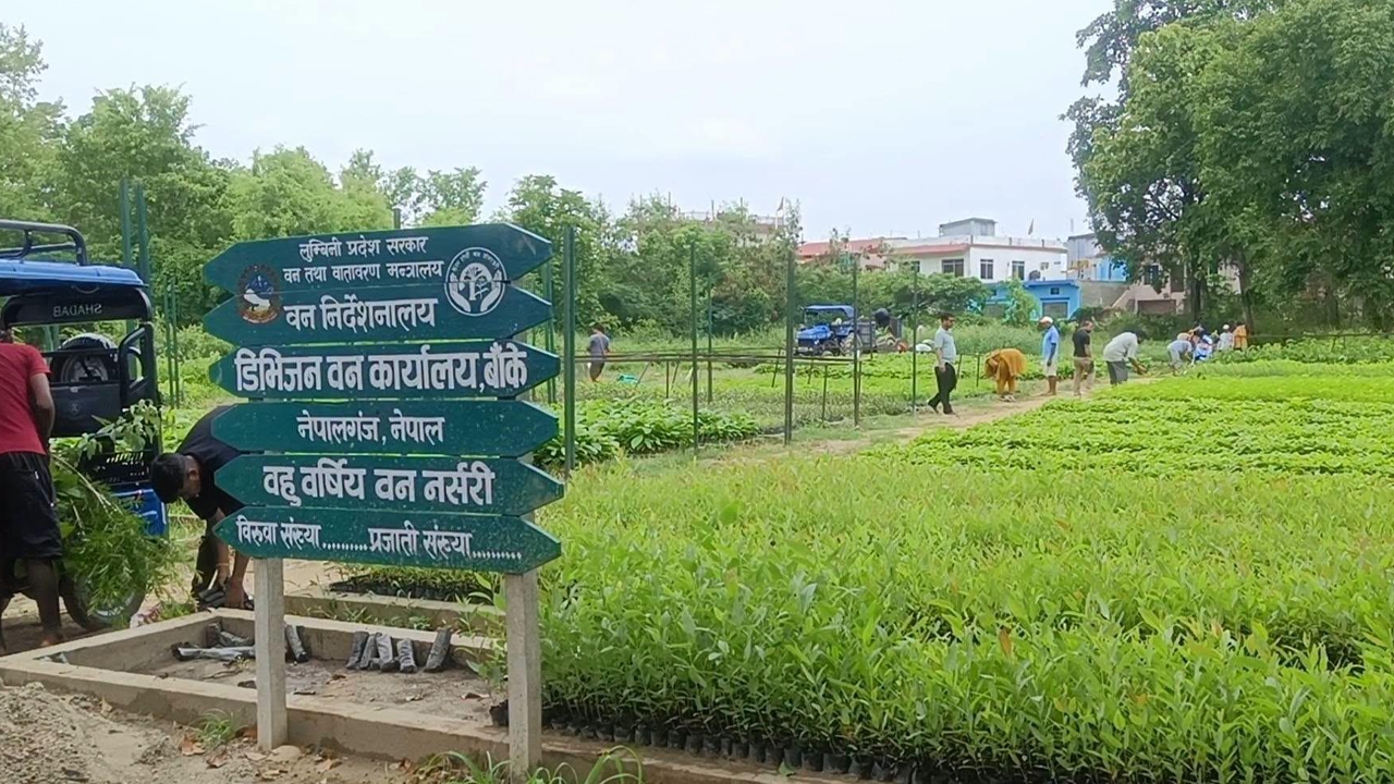 Biruwa