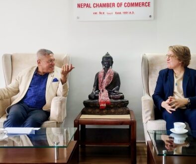 NCC_Spain Chamber delegate meet_PIC