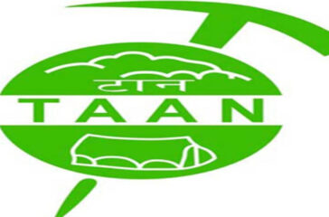 Taan