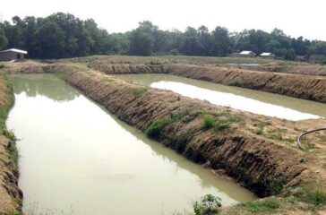 fish-farm_ss2iclhSuI