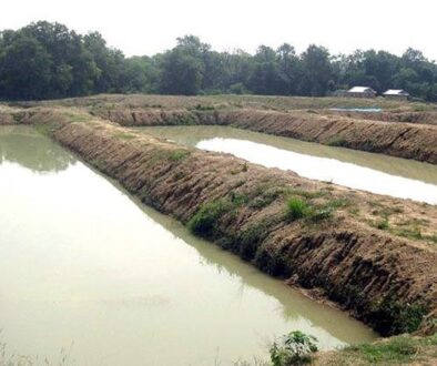 fish-farm_ss2iclhSuI