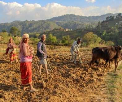 kisan_nepal_7i0dN03M5y