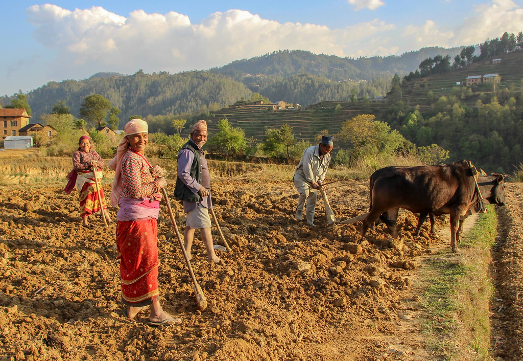 kisan_nepal_7i0dN03M5y