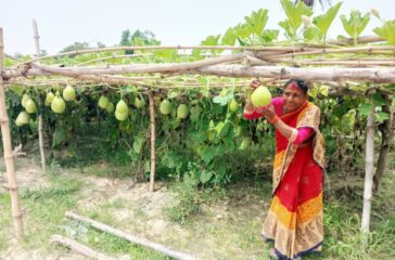 ब्यबसायीक-तरकारी-खेतीबाट-आत्मनिर्भर-बन्दै-महिलाहरु