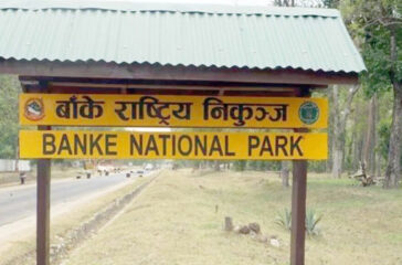 Banke National Park