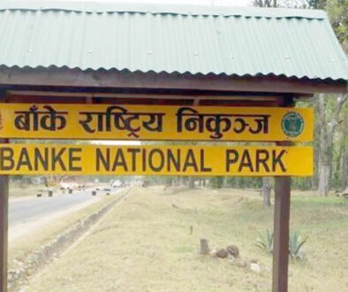 Banke National Park