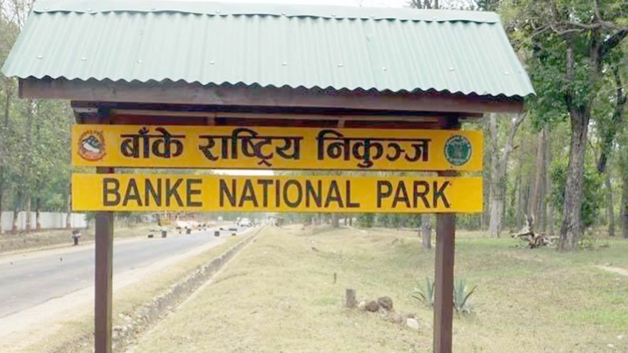 Banke National Park