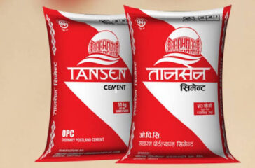 Palpa