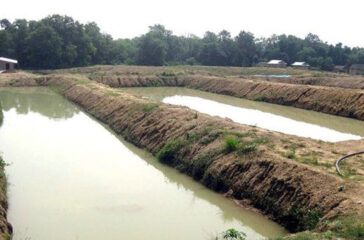 Pokhari