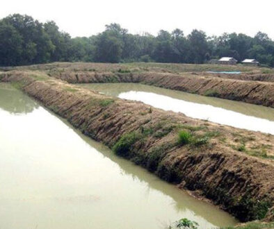 Pokhari