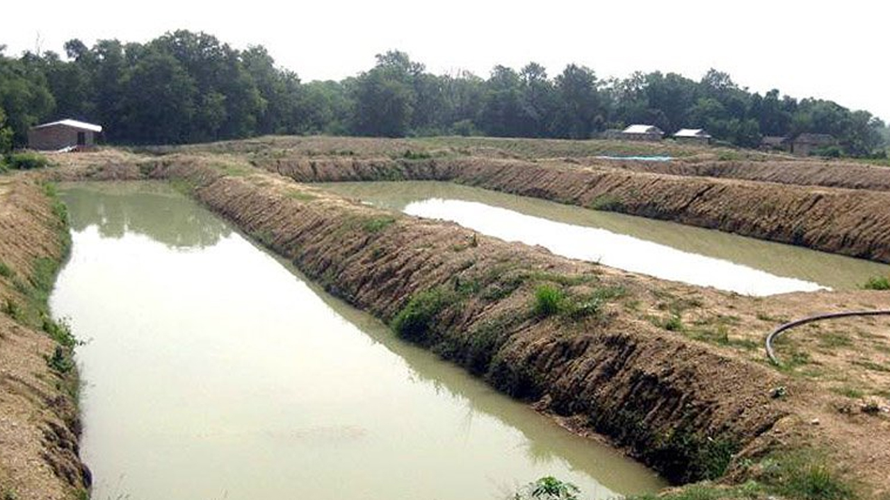 Pokhari