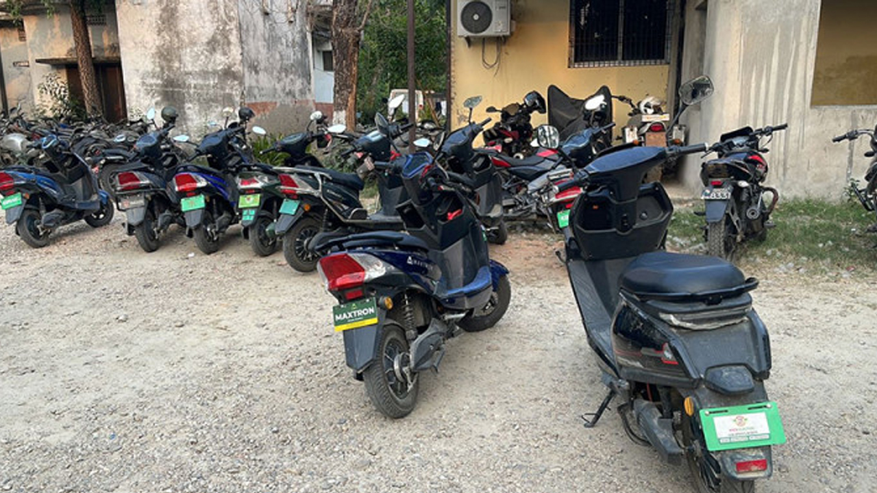Scoter