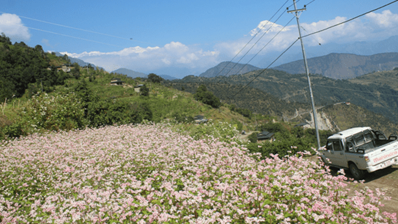 Tanahu