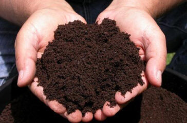 organic-fertilizer-1601028303_HOiQ794w80