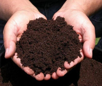 organic-fertilizer-1601028303_HOiQ794w80
