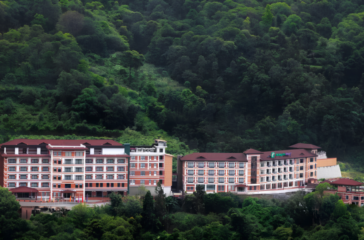 1065114340Hotel-forest-1-scaled-1-1536x864