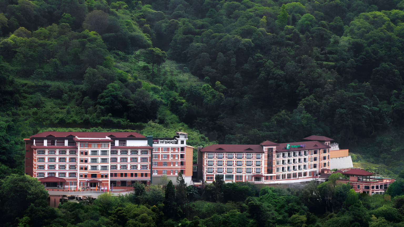 1065114340Hotel-forest-1-scaled-1-1536x864