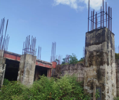Alapatra kam