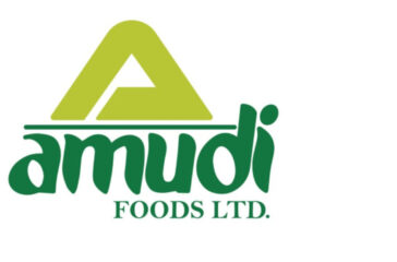 Amudi
