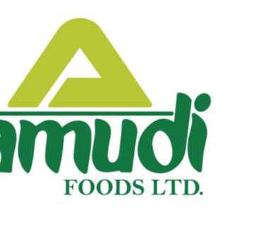Amudi