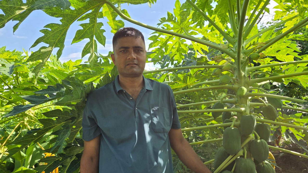 Arjun Bista