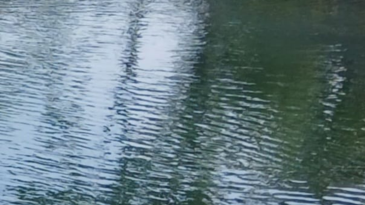 Kulekhani dam