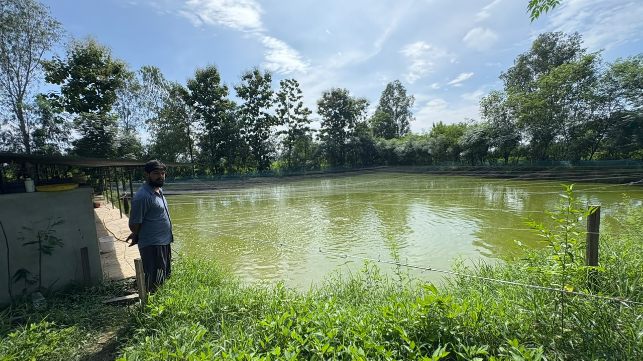 Pokhari