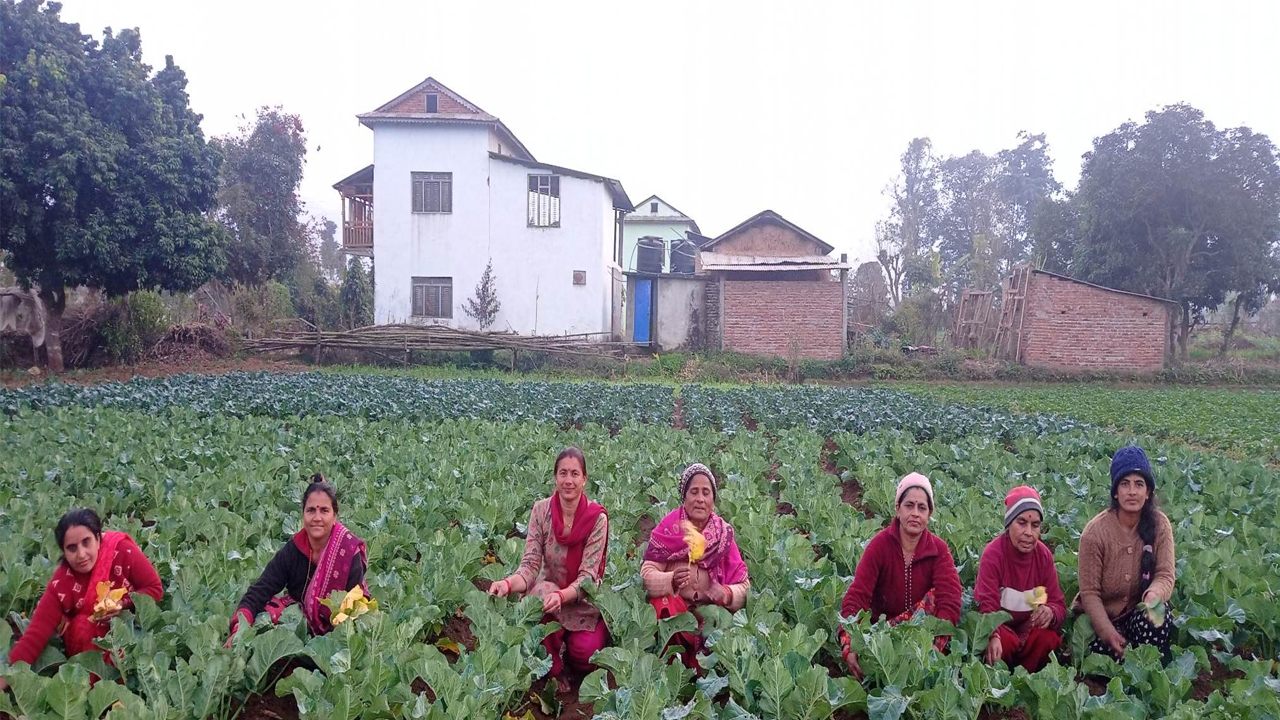 Tarakari