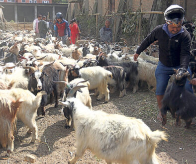 khasi-boka-for-dashain-1200x560-1