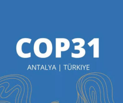 COP 31