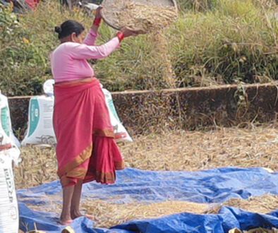 Dhan Kelaudai