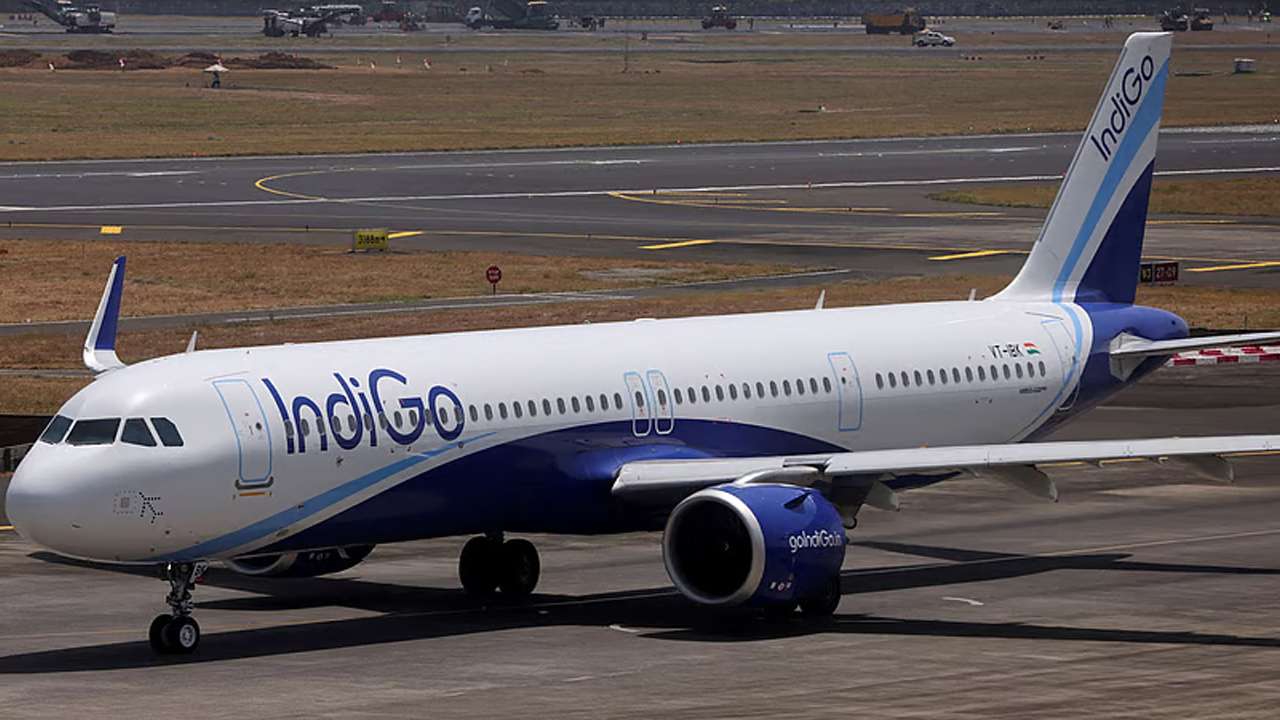 Indigo