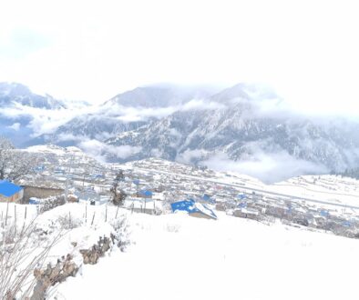 humla-himpat_11_AUQ9xdTJ9I